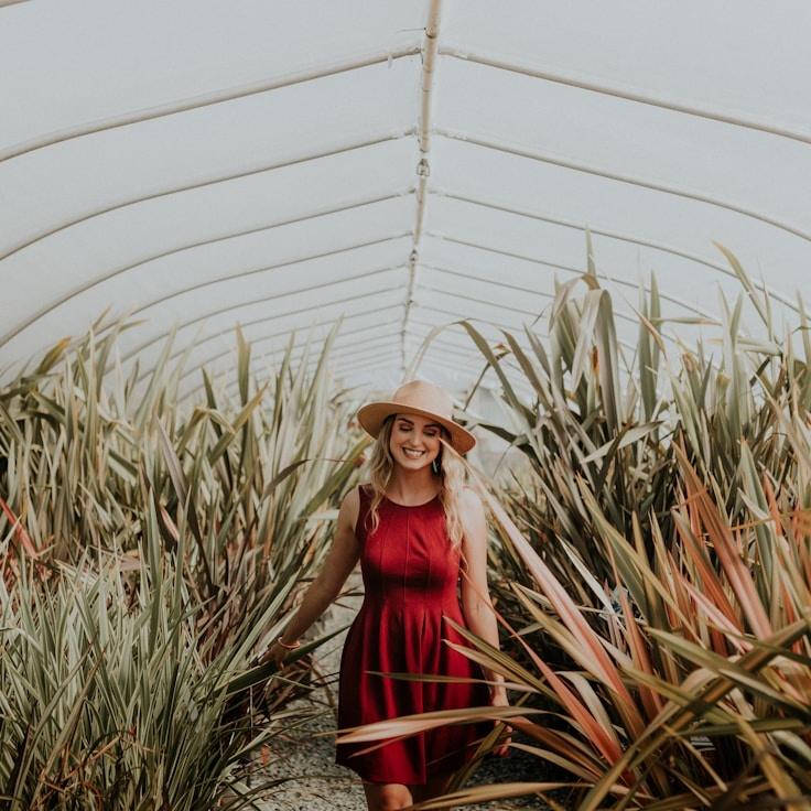 School environment for families in Amsterdam, Netherlands
